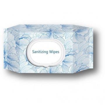 10% Off The Whole Store Anti Bacterial Wet Wipes Alcohol 75% Sanitizing Wipes